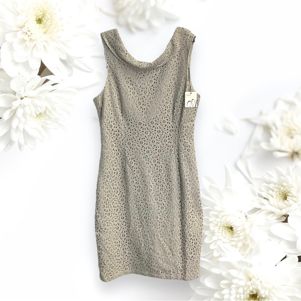 Amelia New w Tag Beige Lined Lace Sleeveless Dress Women Sz 16
